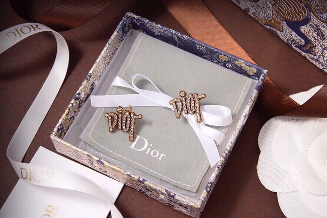 Dior Earring CSJ90001663