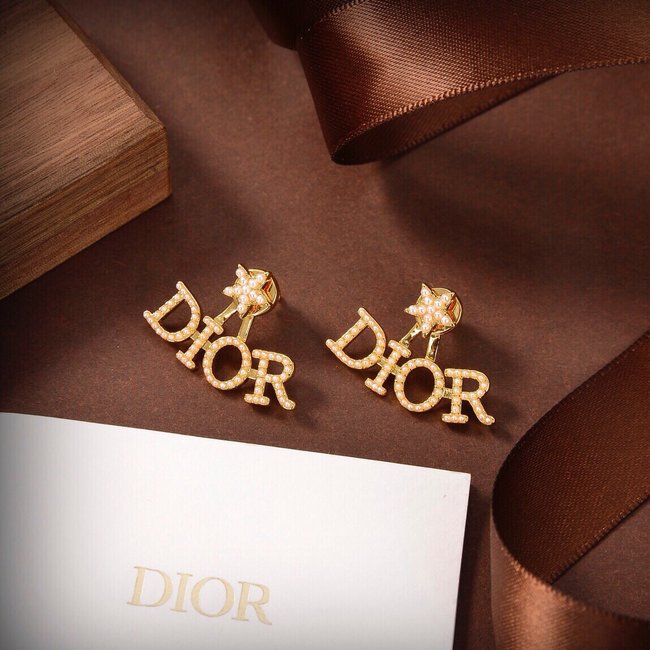 Dior Earring CSJ70002208