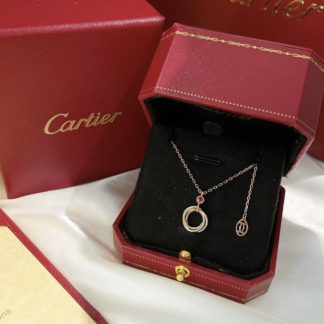 Cartier Necklace CSJ00002494