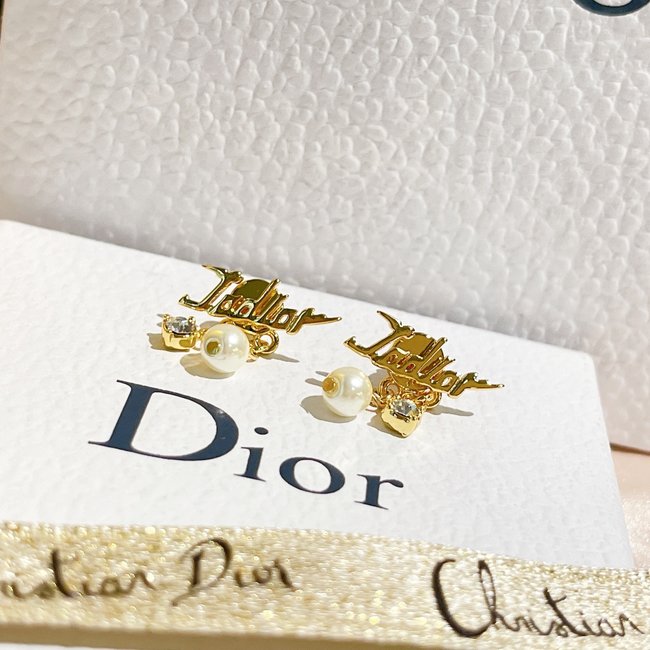 Dior Earring CSJ60001763