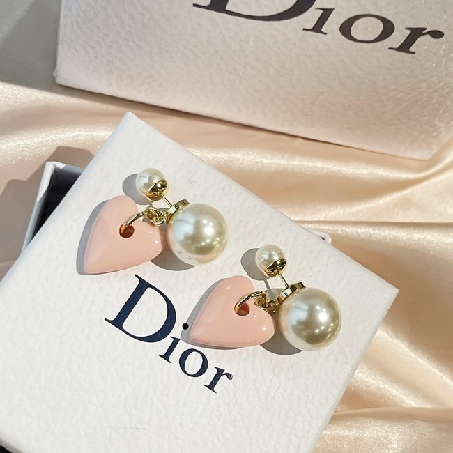 Dior Earring CSJ70001008