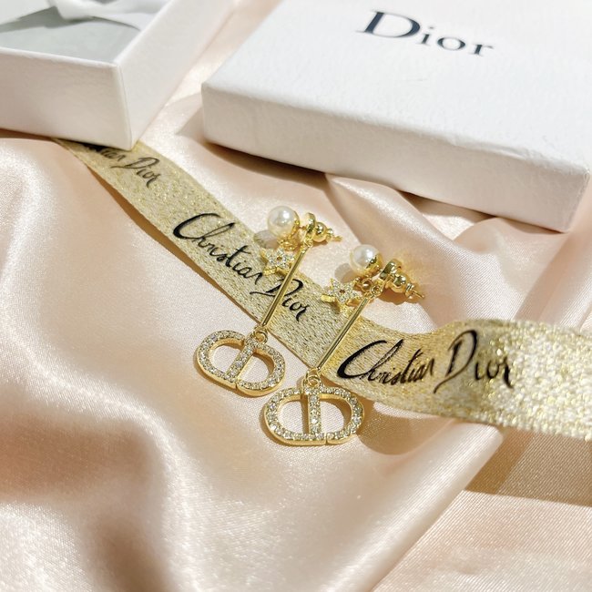 Dior Earring CSJ00001090