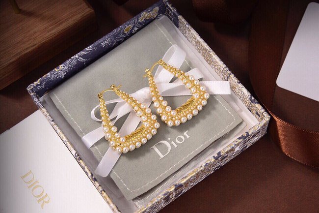 Dior Earring CSJ90001267