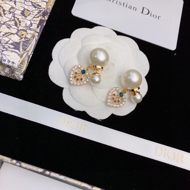 Dior Earring CSJ50001816