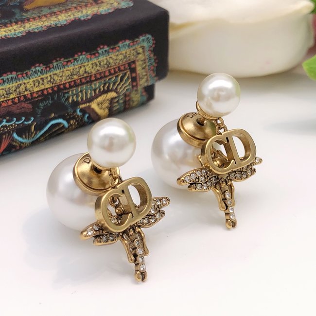 Dior Earring CSJ13344155