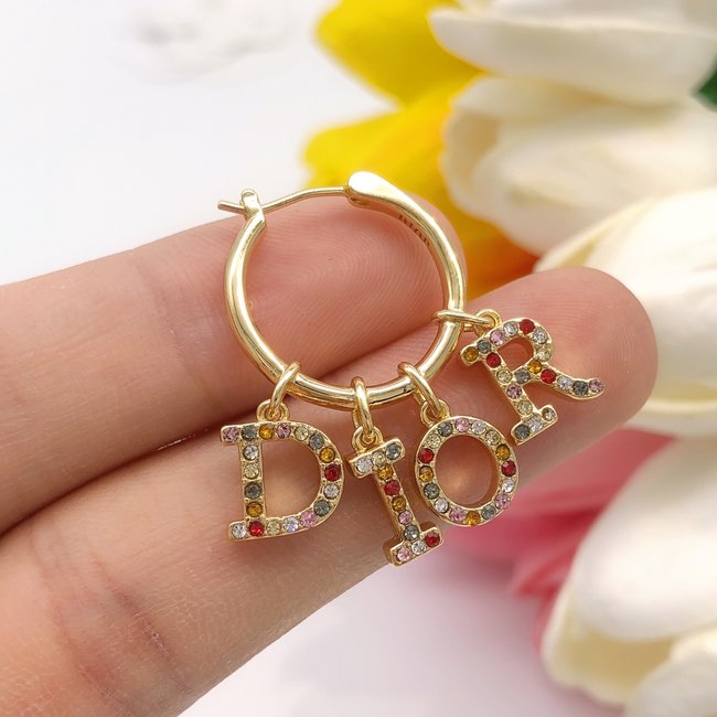 Dior Earring CSJ42454142