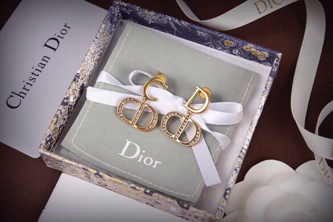 Dior Earring CSJ00001266