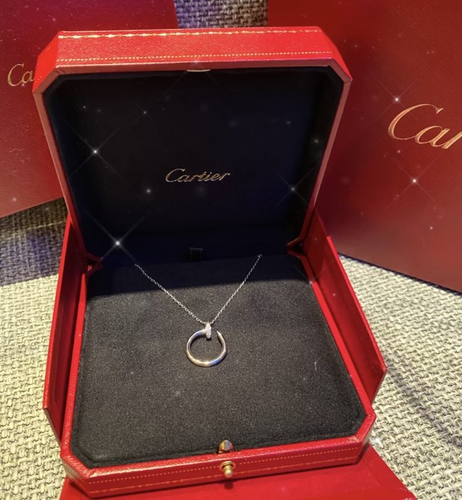 Cartier Necklace CSJ23355113