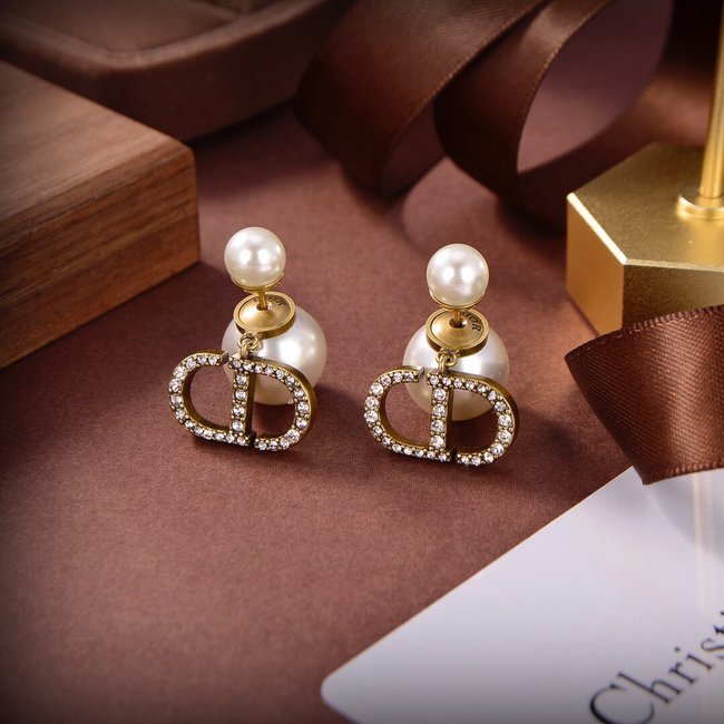 Dior Earring CSJ00001158