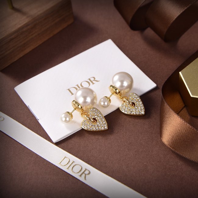 Dior Earring CSJ32441531