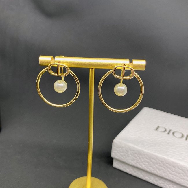 Dior Earring CSJ55145523