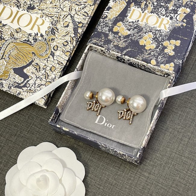 Dior Earring CSJ32155452