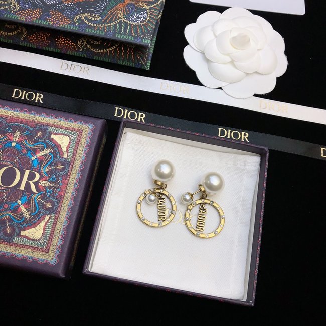 Dior Earring CSJ22235254