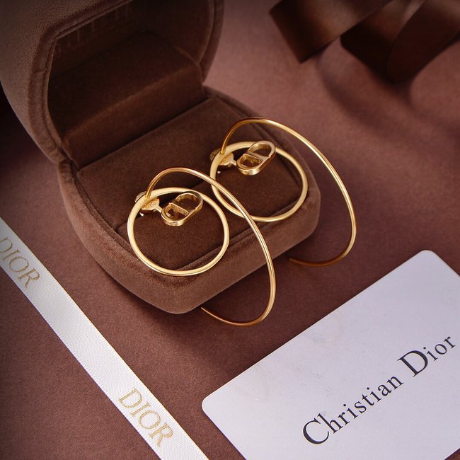 Dior Earring CSJ55315541