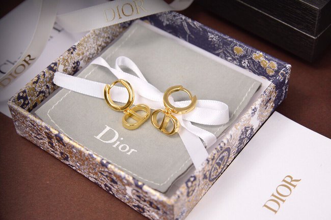 Dior Earring CSJ22441122