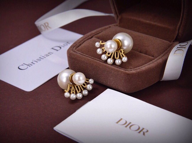 Dior Earring CSJ24234422