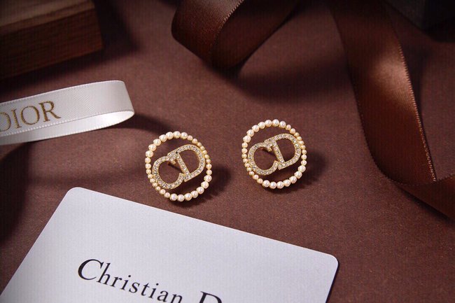 Dior Earring CSJ14141525