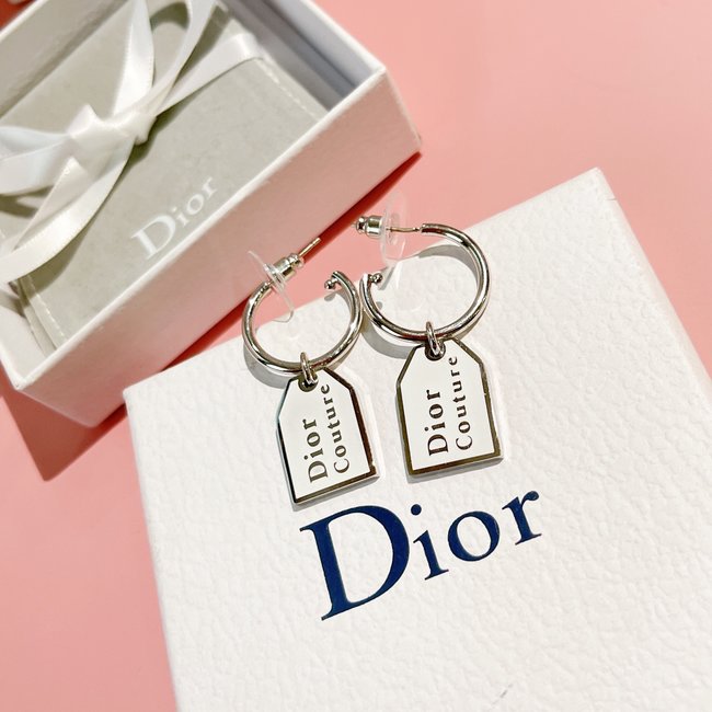 Dior Earring CSJ34455144