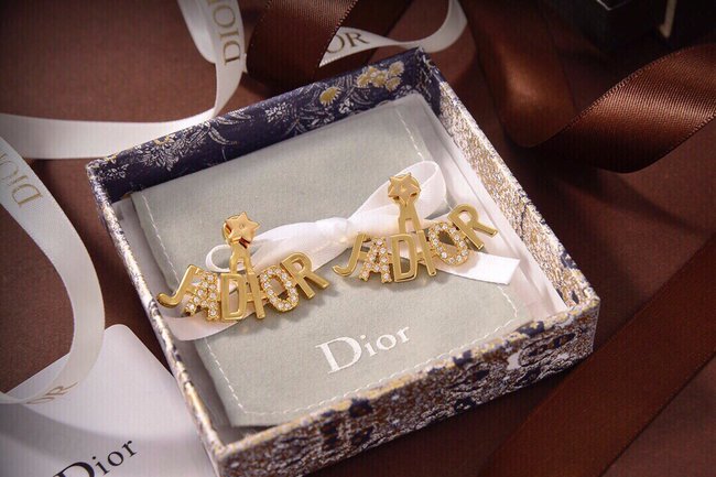 Dior Earring CSJ14223233