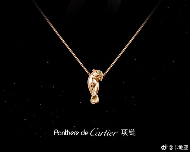Cartier Necklace CSJ34423545
