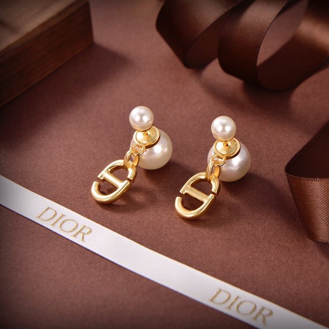 Dior Earring CSJ12315245