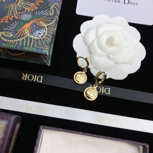 Dior Earring CSJ14543254