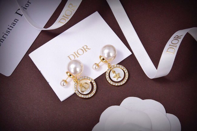 Dior Earring CSJ34412152