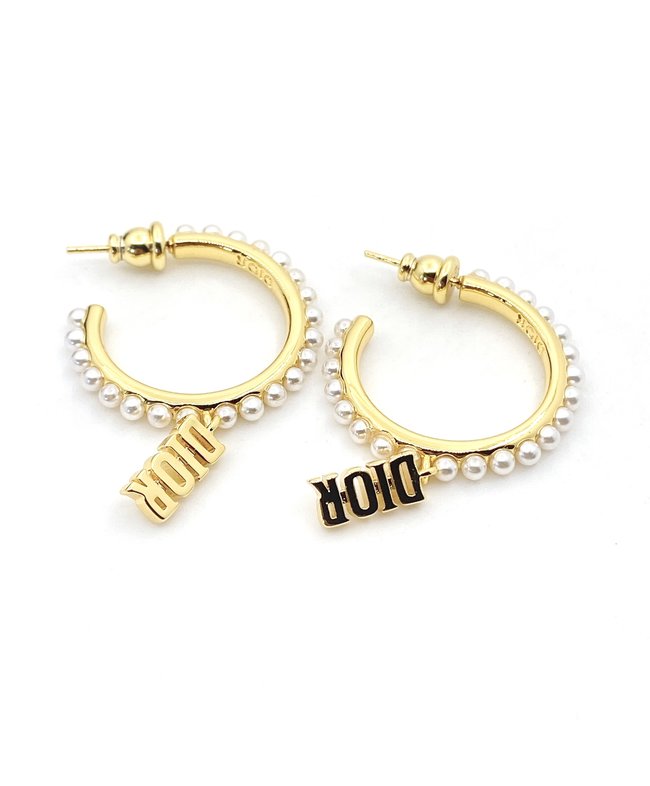 Dior Earring CSJ21434215