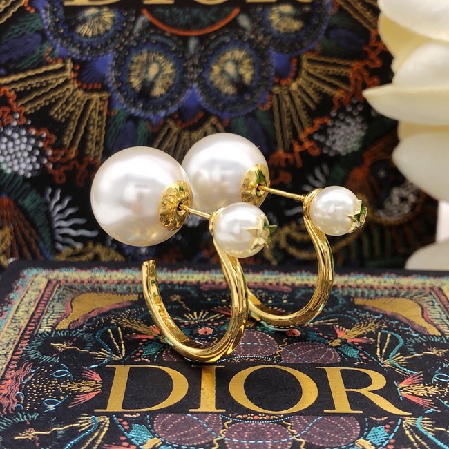 Dior Earring CSJ44445553