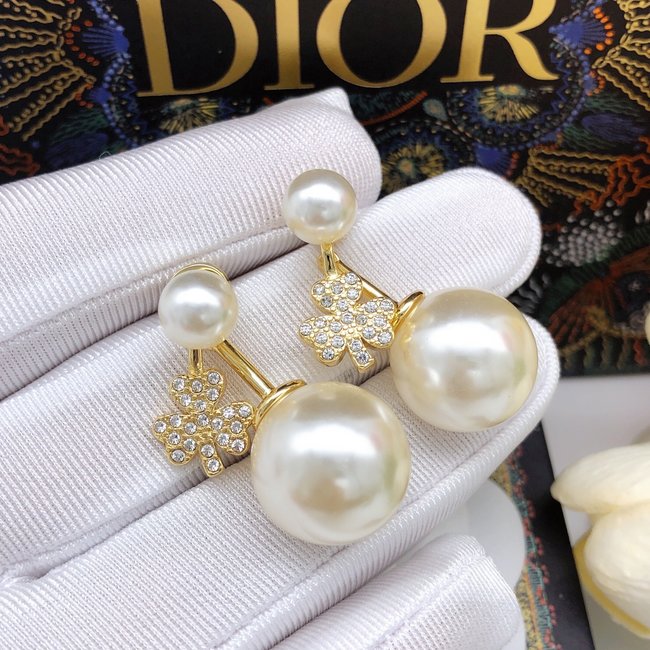 Dior Earring CSJ15234541