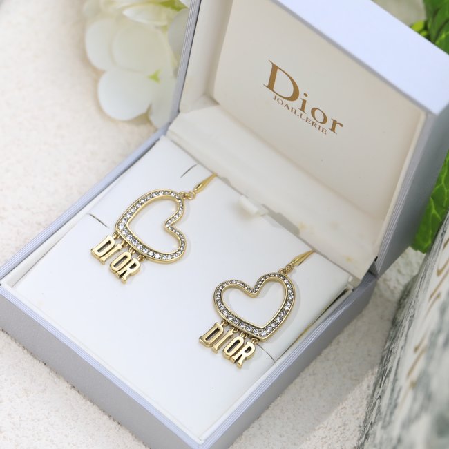 Dior Earring CSJ34155441