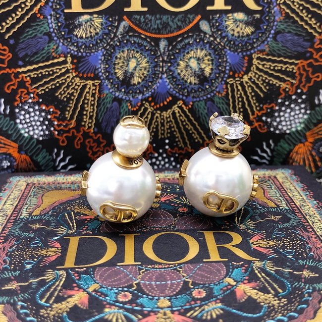 Dior Earring CSJ42333213