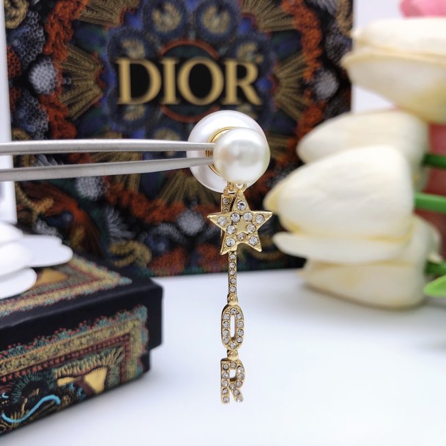 Dior Earring CSJ51354433