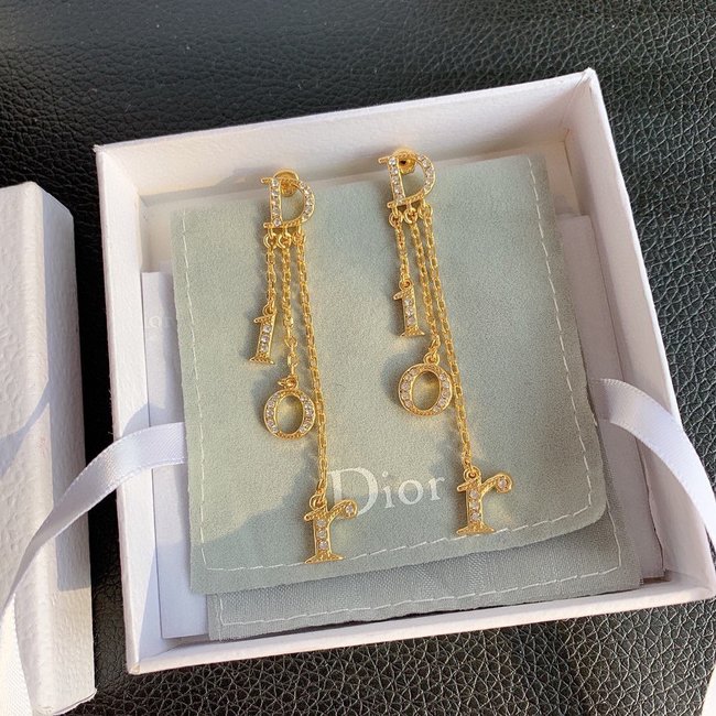 Dior Earring CSJ13331115