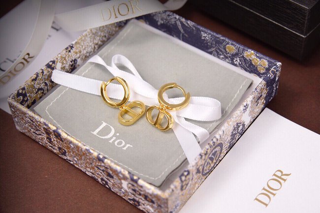 Dior Earring CSJ25151224