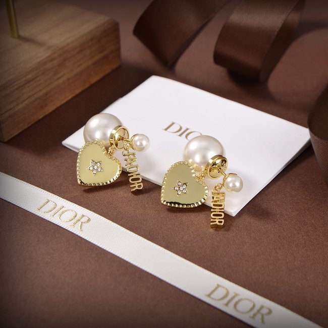 Dior Earring CSJ55423344