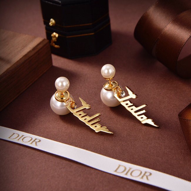 Dior Earring CSJ42435125