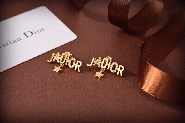 Dior Earring CSJ21133532