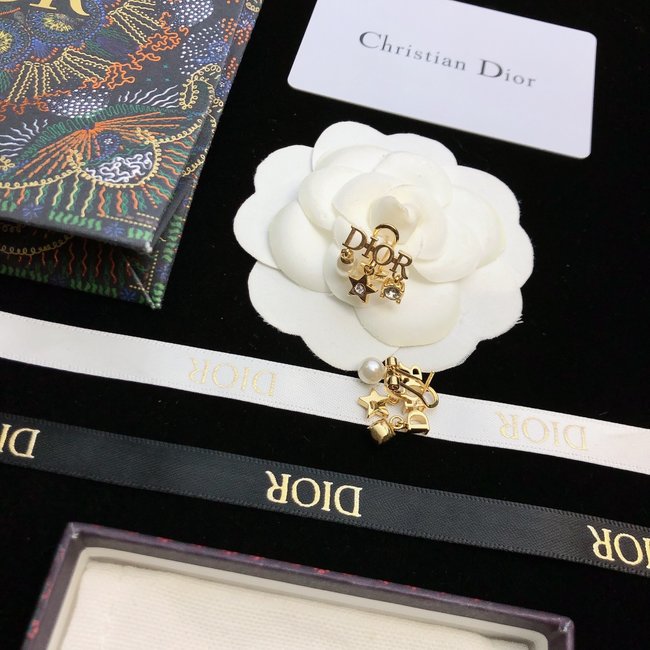 Dior Earring CSJ31524525