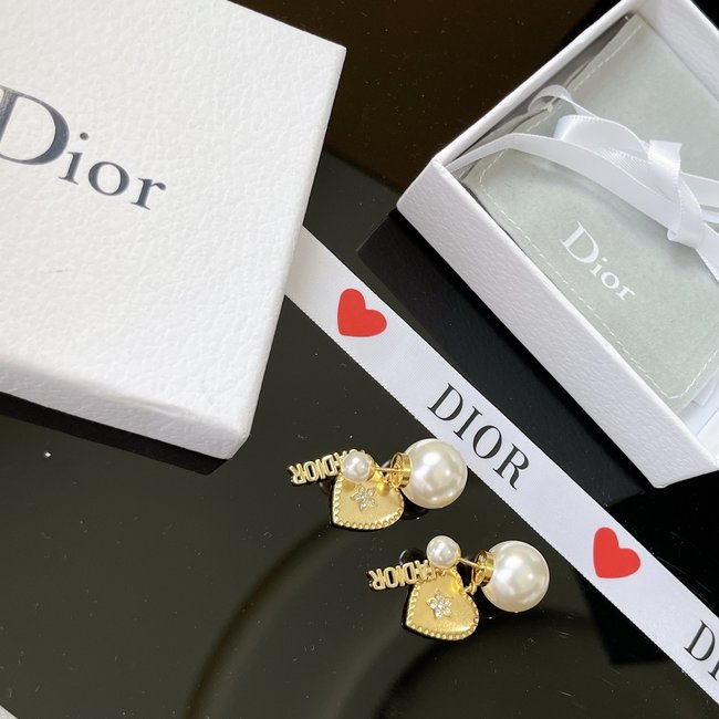 Dior Earring CSJ14445434