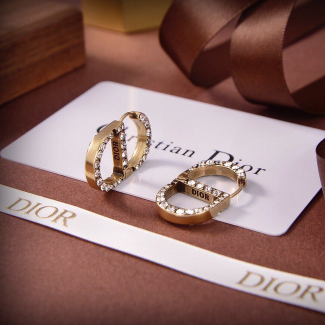 Dior Earring CSJ22321425