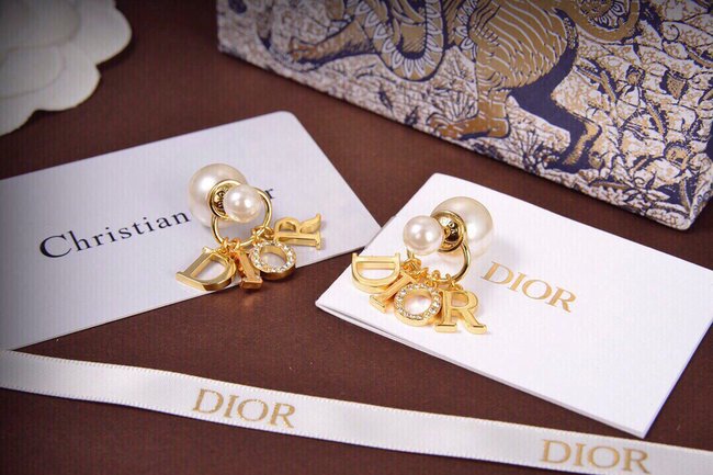 Dior Earring CSJ23152234