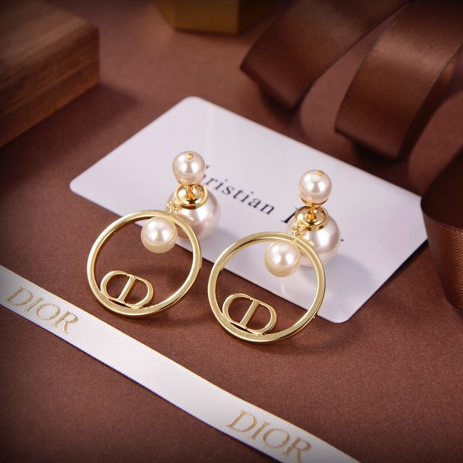 Dior Earring CSJ22431413