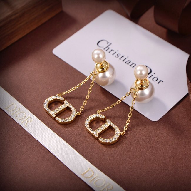 Dior Earring CSJ13225245