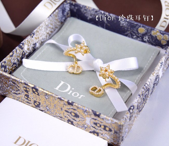 Dior Earring CSJ11233232