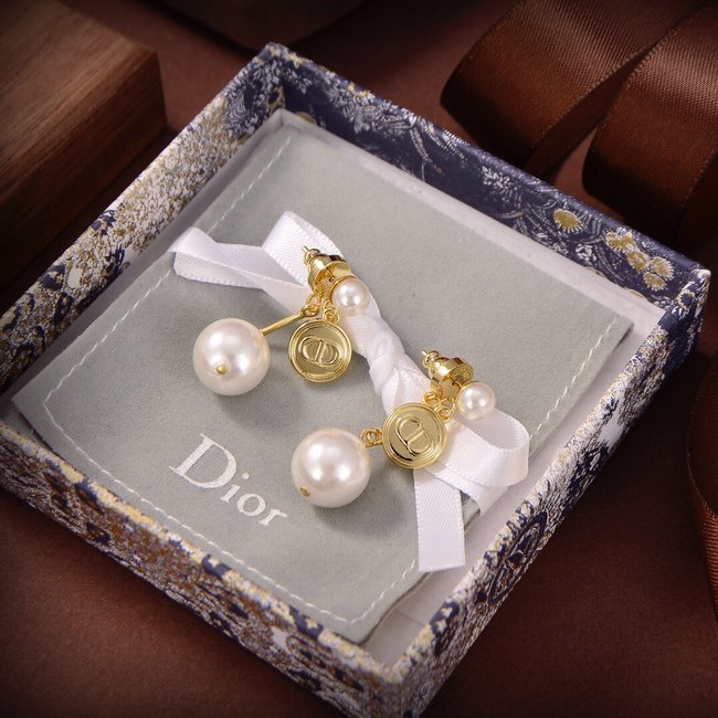 Dior Earring CSJ14235551
