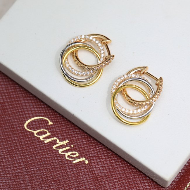 Cartier Earring CSJ55155421