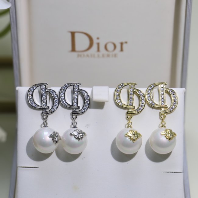 Dior Earring CSJ35532454