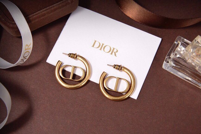 Dior Earring CSJ52225534