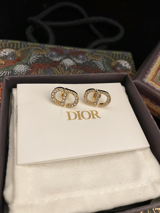 Dior Earring CSJ33542221